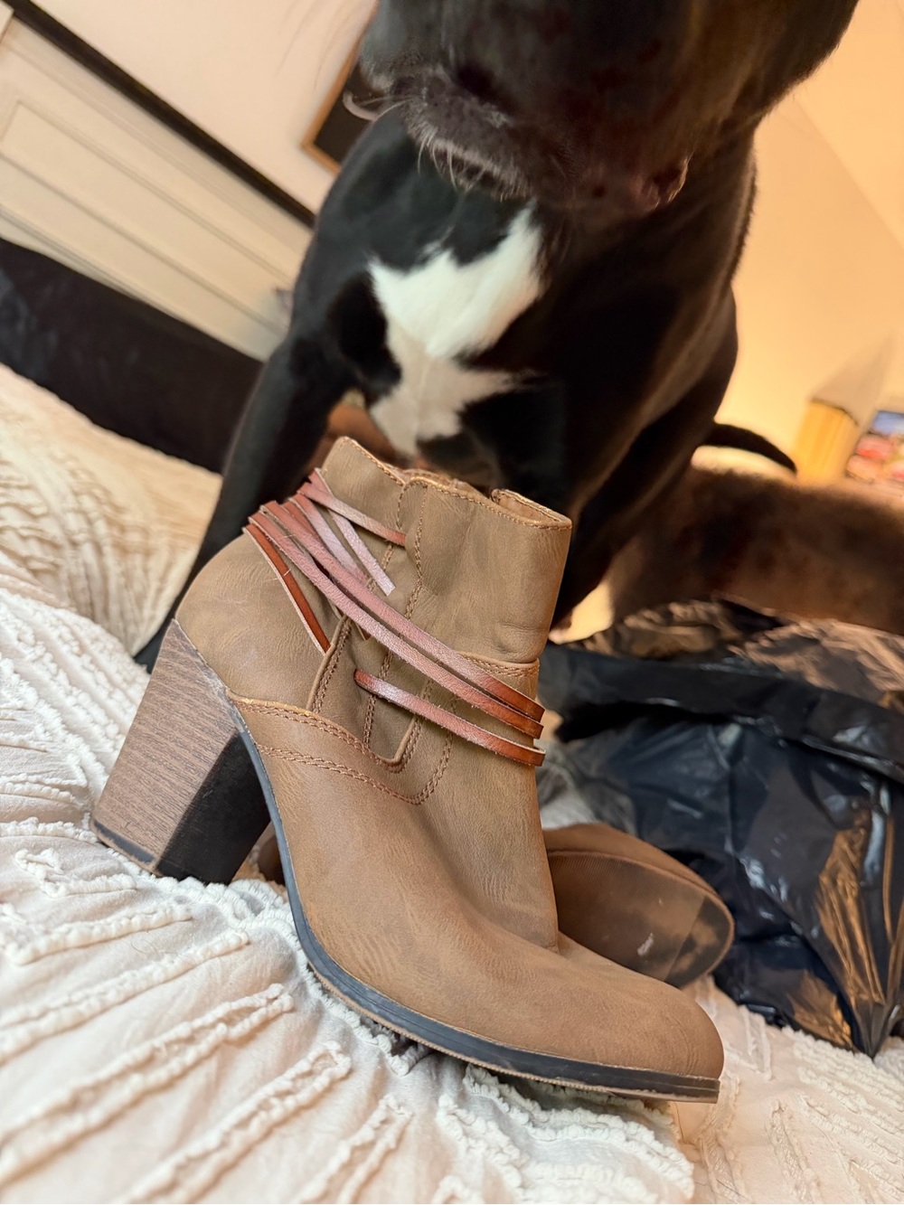 Women's Tan Ankle Bootie with Decorative Straps